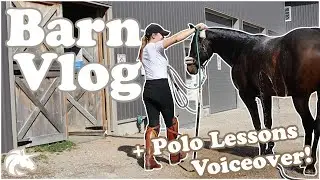 BARN VLOG | Polo Lessons Voiceover! | Hailey Liberty