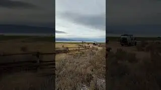 Красота деревенского Айдахо #bearlake