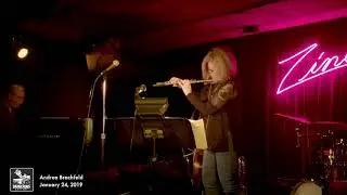 Dangerous Rhythms - Andrea Brachfeld