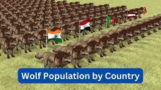 Wolf Population by Country 2023 | AliData