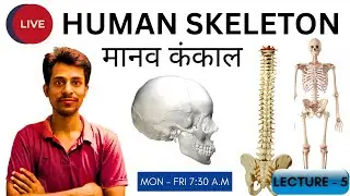 Human Skeleton System LIVE | मानव कंकाल तंत्र Complete Class | NEET   Dr Krishna Sir  Lecture 5
