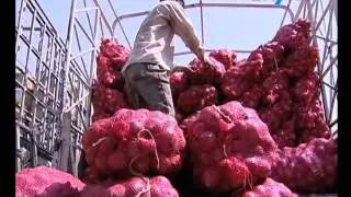 City7 TV - 7 National News - 28 September 2015 - UAE Business News