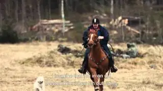 Utmaningen - en film om den sjuka jobbstressen - with english subtitles