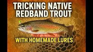 Fishing Native Red Band Trout | Trout Fishing in Clear Water