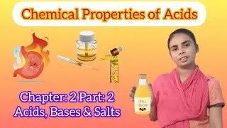 L : 2 Part :2 Chemical Properties of Acids | Science for Class 10th (2023-24) | Board exams