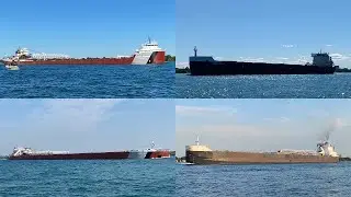 2020 Ship Salutes Part 7