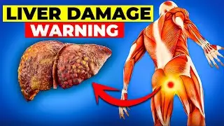 5 Early Warnings Signs Of Liver Damage Galaxy  Commercial