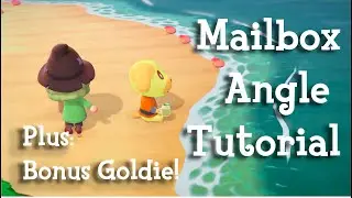 Mailbox Angle Tutorial (And a Campsite Visitor)