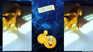 Funny Videos  #dailylaughs #memes #dailylaughter #funny #dailymemes #funnymemes #memecompilation