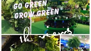 ചെടി വാങ്ങിക്കാൻ പോയി .GO GREEN GROW GREEN FEST IN SAFARI MALL