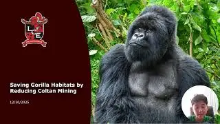 Saving Gorilla Habitats by Recycling Electronics