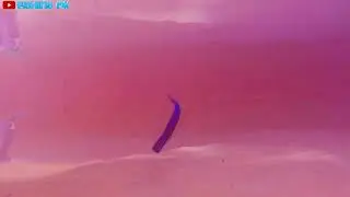 Fishing video creative fishing bait
