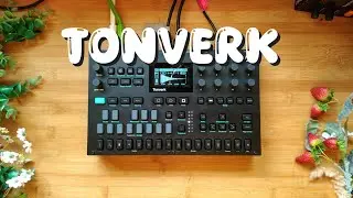 Elektron Tonverk JAM Dawless 31/25/12 15:00