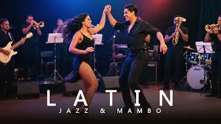 Latin Jazz Instrumental with Mambo Groove | Tropical Dance Energy & Festive Vibes