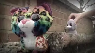 A Thousand Years Beanie Boo Music Video