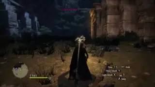 Dragon's Dogma - Cursed Dragon (Sorcerer lv.39)