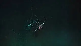 Scary Transition Ringtone | Scary Ringtones