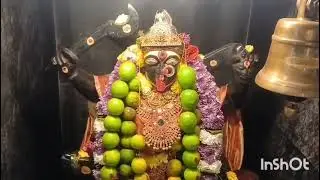 Har Har Mahadev #Rajahmundry #Shiva Temple#morning#puja
