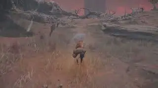 Merchant: Isolated Merchant (Dragonbarrow) | Elden Ring (PS5)