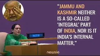 Pakistan&rsquo;s visually impaired diplomat gives befitting reply to India