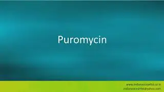 Pronunciation of the word(s) 
