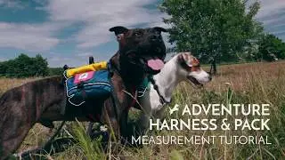 Adventure Harness & Backpack Measurement Tutorial