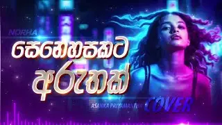 Senehasakata Aruthak | සෙනෙහසකට අරුතක්  | Female Cover by @norha_covers ​