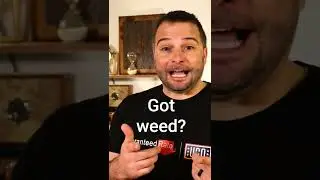 Can I Get a Loan if I Work in the Marijuana Industry?