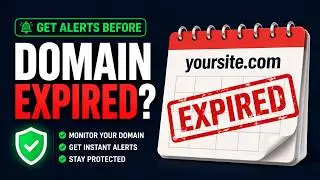 Domain Monitoring Setup & Expiry Alerts in StatusCake Walkthrough Guide