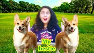 Happy international dog day |  shehnazz gill | 26 august | cute pet dog | english| reshma institute