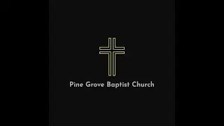 Easter Bible Study: Alone, but not really