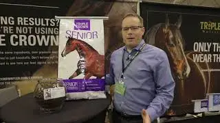 The Best Feed for Senior Horses - Triple Crown Senior Horse Feed