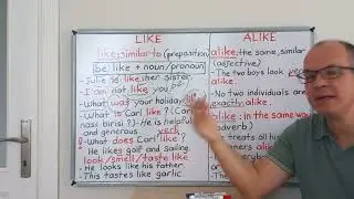 LIKE AND ALIKE