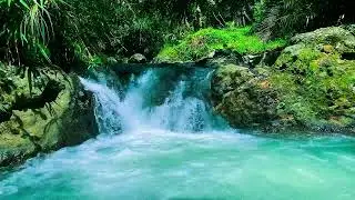 Relaxing Waterfall Sounds|Water White Noise For Sleep Or Relax No Ads 