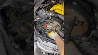 Easiest Timing Job on a Ford 1.5 TDCI Diesel Engine!