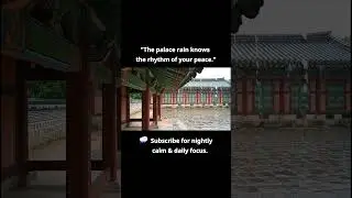 The rhythmic peace of the palace rain 🕯️ #rain #asmr #deepsleep #relax