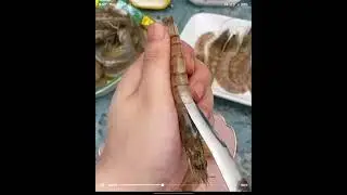 DIY shrimp cleaning tool