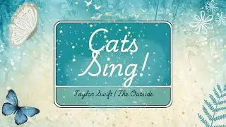 Cats Sing! | The Outside Taylor Swift Debut TRACK 6!!!