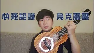【新手向】快速認識烏克麗麗/烏克時代Ukestyle