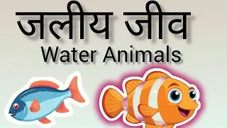 चित्रों के साथ सीखना |Water Animals |Aquatic Animals |पानी में रहने वाले जानवर  .......