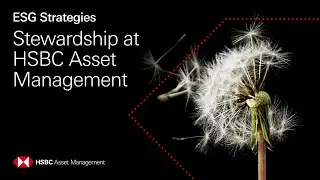 Stewardship at HSBC Asset Management