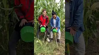 Useful farming tools for rural farmers | Essential Tools for corn farming #shorts #tools