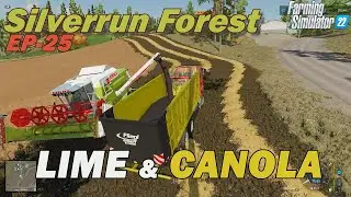 4 FULL Fields Lime | Harvest Full Field Canola | Straw | FS22 Silverrun Forest Gameplay Music Series