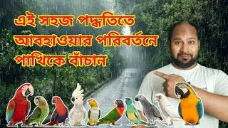আবহাওয়া যত খারাপ হোক পাখি ঠিক থাকবে।Bird Care In Weather Change @AbulAviary