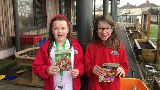 Fideo Ysgolion Iach Ysgol Gymraeg Parc y Tywyn (Ansawdd Aur)