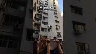 Tiny cat vs massive building&mdash;watch what happens. Ai video part-15 #ai #cat #shorts