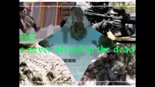 Pakistan army fans