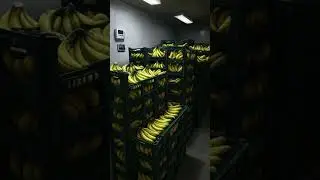 Banana Cold Storage Guide 🍌 | Easiest Way Explained #shorts
