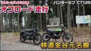 【オフロード】 ハンターカブってすごい！林道金谷元名線を走ってみた
