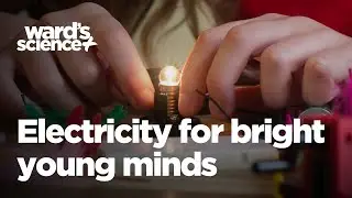 An Illuminating Experience - Electricity for Bright Young Minds